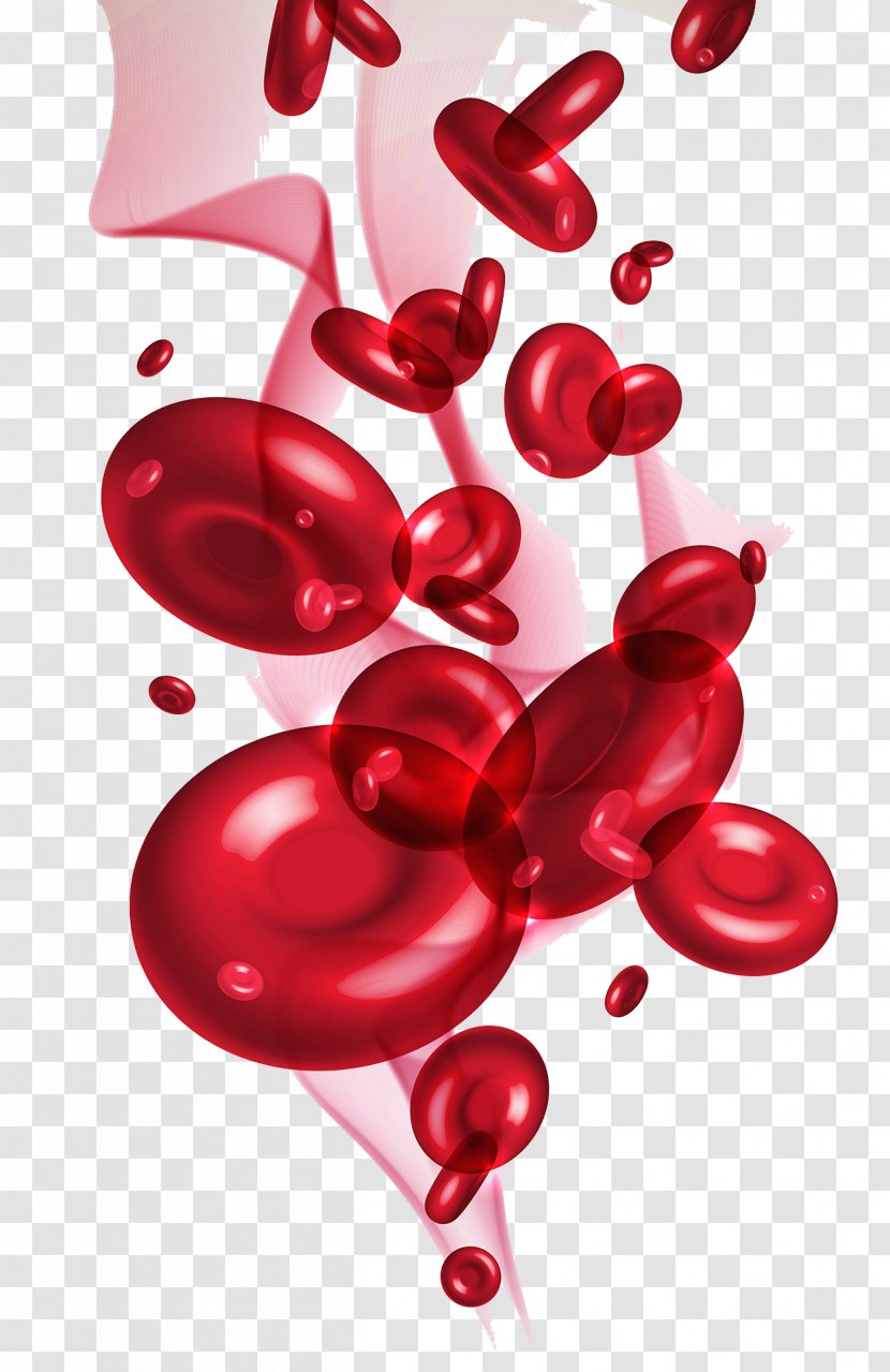 Red Blood Cell - Fruit Transparent PNG