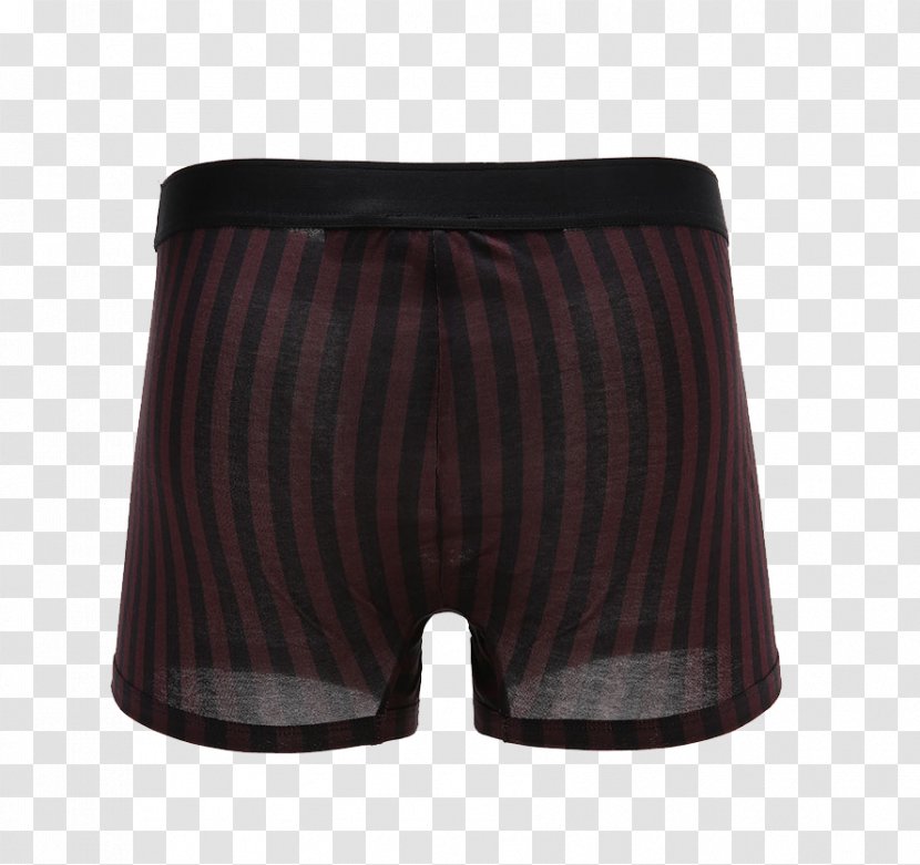 Swim Briefs Underpants Trunks Waist - Cartoon - Dolce & Gabbana Underwear On The Back Of A Black Belt Line Transparent PNG
