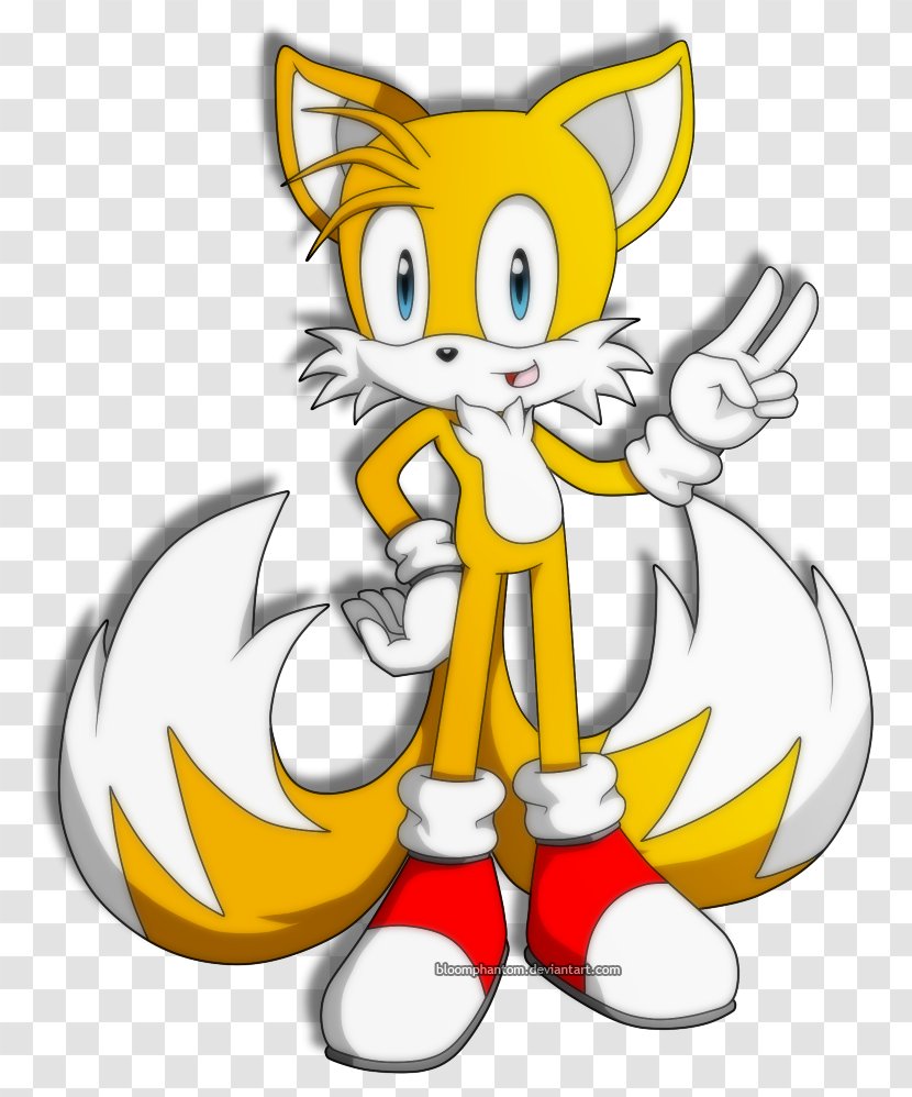 Tails Adventure Ariciul Sonic The Hedgehog Whiskers - Blaze Cat Transparent PNG