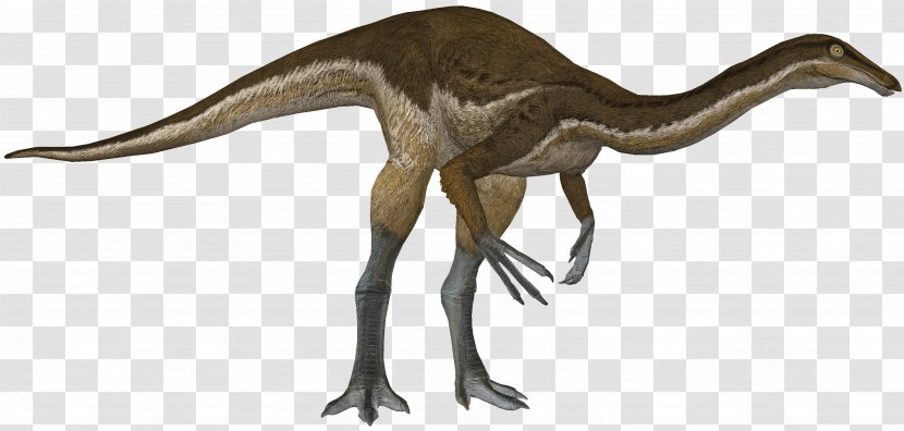 Velociraptor Gallimimus Tyrannosaurus Dinosaur Animal - Fauna Transparent PNG