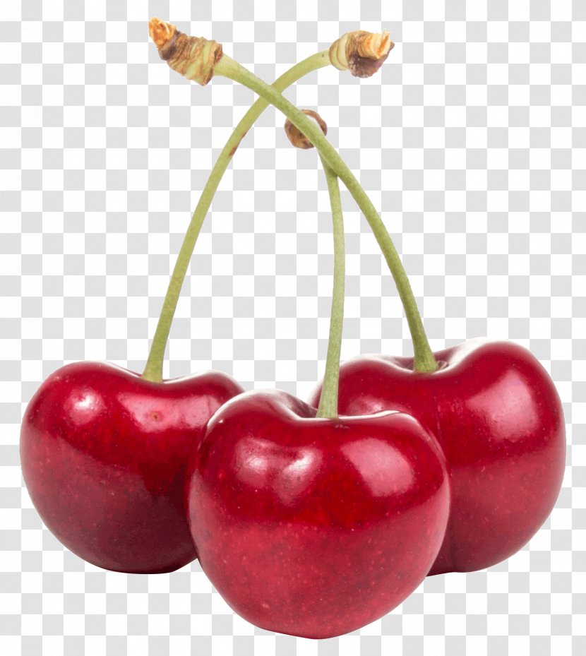Cherry Plant Fruit Natural Foods Red - Tree - Flower Transparent PNG
