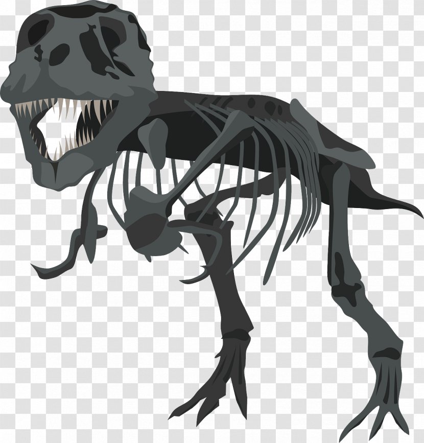 Tyrannosaurus Rex Skeleton Bone Clip Art - Pixabay - Grey Dinosaur Transparent PNG