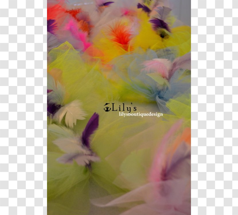 Close-up - Feather - Pembe GÃ¼l Transparent PNG