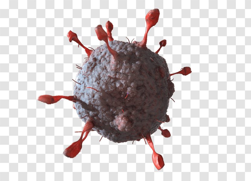 Wavefront .obj File 3D Modeling Computer Graphics Virus Chickenpox - Hepatitis C - Planar Cell Bodies Transparent PNG