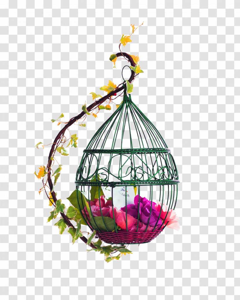Birdcage Poster - Tiff - Red Fresh Bird Cage Flowers Decorative Patterns Transparent PNG
