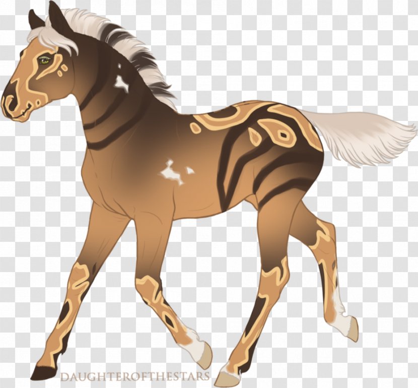 Mule Foal Stallion Art Mare - Mane - Horse Transparent PNG