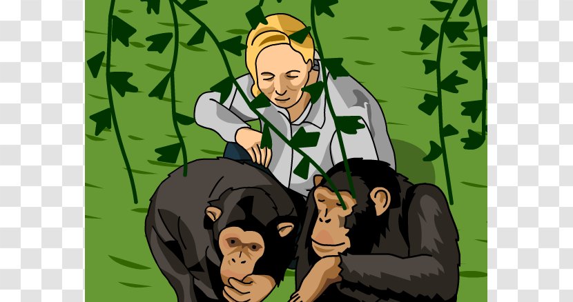 Gombe Stream National Park My Life With The Chimpanzees I Love: Saving Their World And Ours Clip Art - Fictional Character - Jane Cliparts Transparent PNG