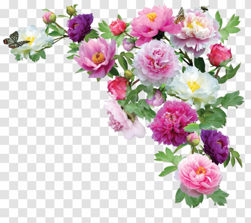 DeviantArt Web Design - Flower - Peonies Transparent PNG