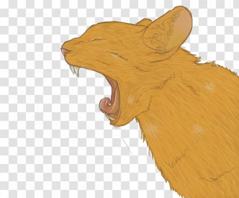 Cat Drawing Art - Rat Transparent PNG