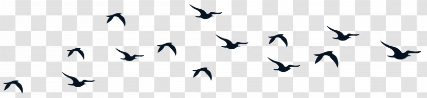 Bird Clip Art - Animal Migration Transparent PNG