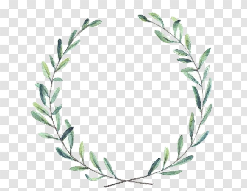 Watercolor Flower Wreath - Laurel - Rosemary Red Juniper Transparent PNG