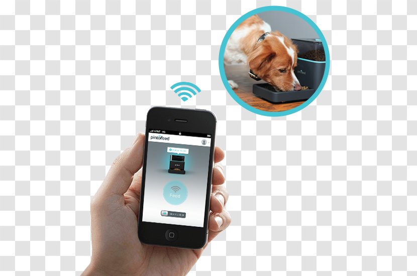 Smartphone Animal Pet Dog - Portable Media Player Transparent PNG