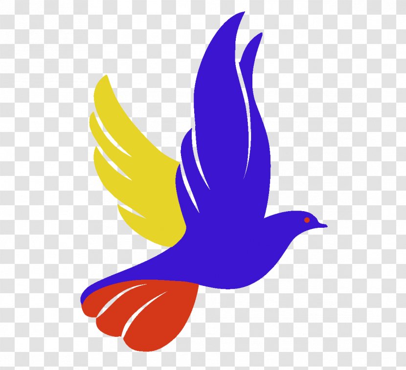 Columbidae Logo Doves As Symbols Drawing - Symbol - Christianity Transparent PNG