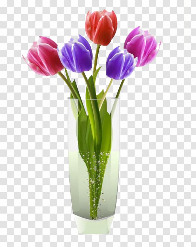 Vase Flower Tulip Clip Art - Lily Family - Cup Picture Material Transparent PNG