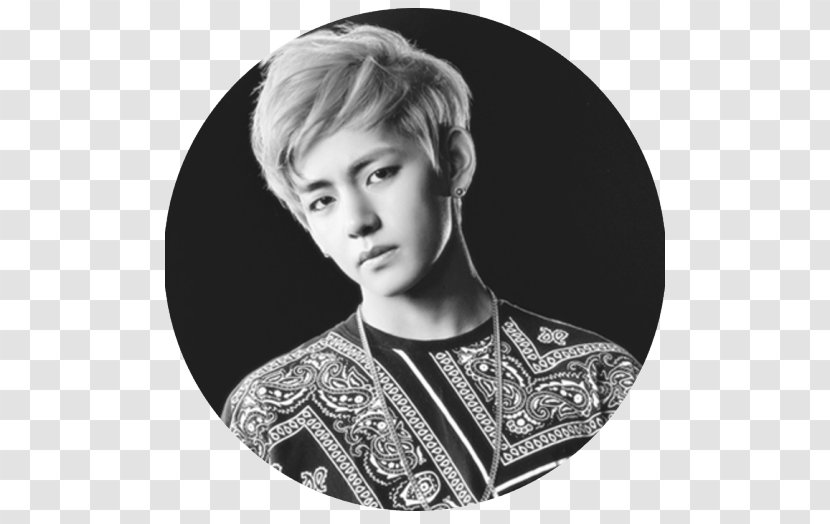 Kim Taehyung No More Dream BTS N.O -Japanese Ver.- K-pop - Blood Sweat Tears - Monochrome Photography Transparent PNG