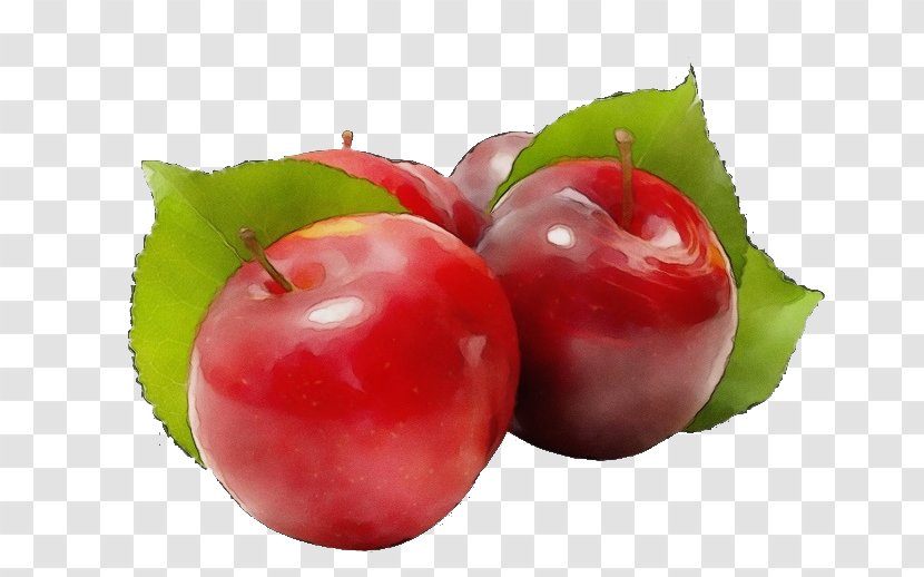 Natural Foods Fruit Food Plant European Plum - Paint - Superfood Leaf Transparent PNG