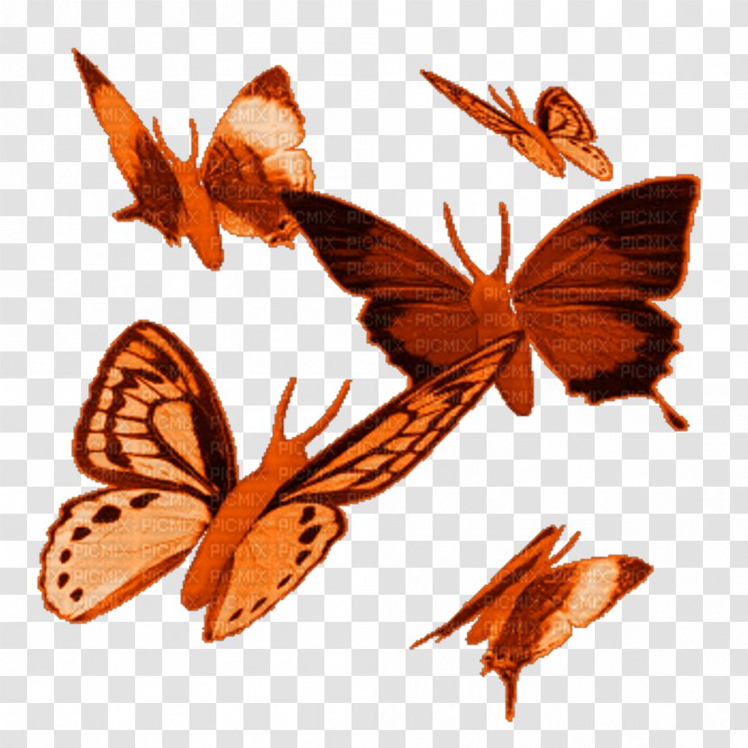 Butterfly Animation Clip Art - Monarch - Flies Transparent PNG
