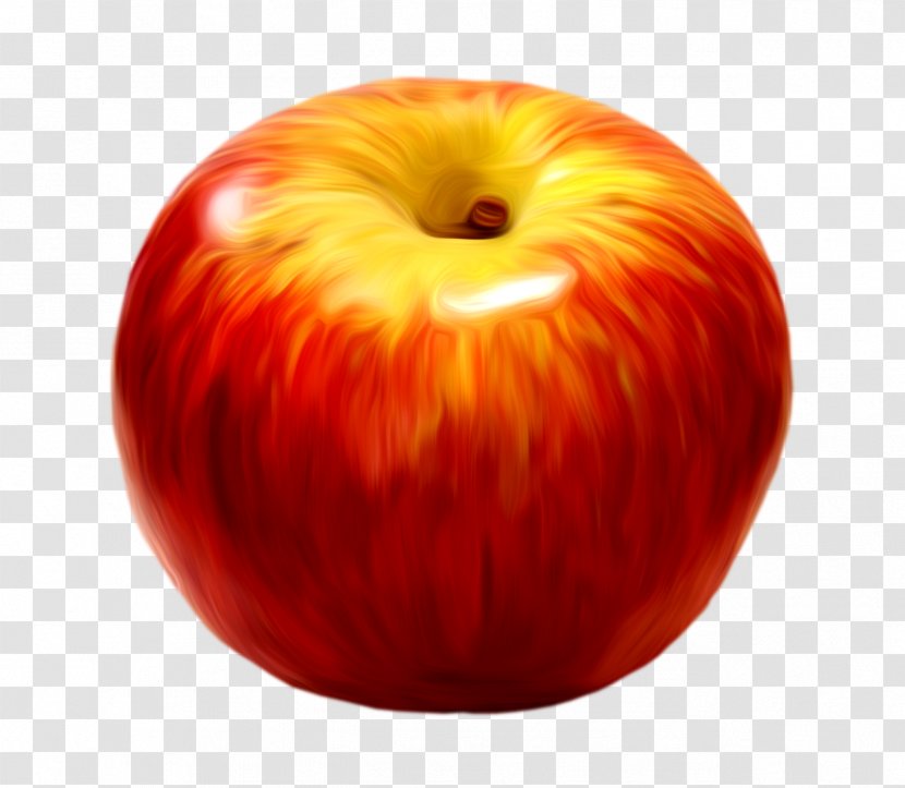 Apple Oil Painting - Fruit Transparent PNG