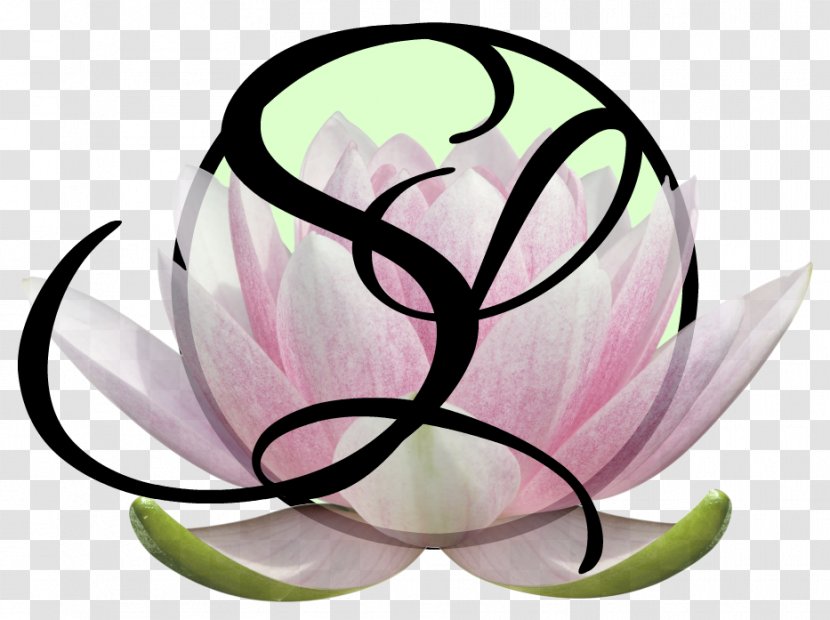 La Sirena Mediumship Clairvoyance Online And Offline Clip Art - Plant - Port Moresby Transparent PNG