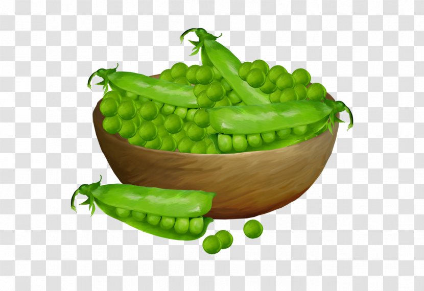 Pea Bowl Clip Art - Bean Transparent PNG