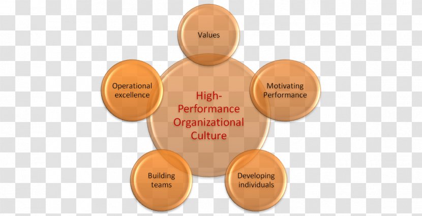 Organizational Culture Performance Effectiveness Term Paper - Organization Transparent PNG