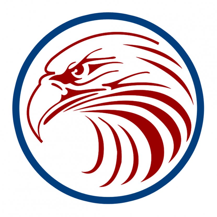 Bald Eagle Logo Clip Art - Drawing - Falcon Transparent PNG