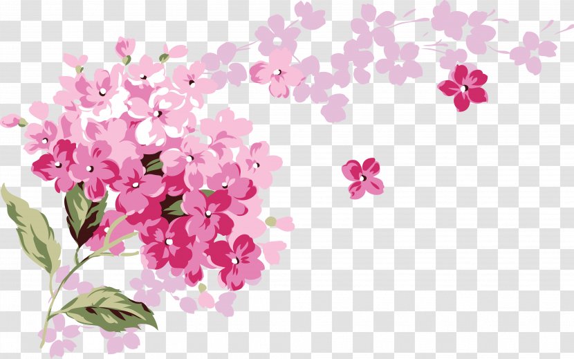 Flower - Cherry Blossom - Stork Transparent PNG