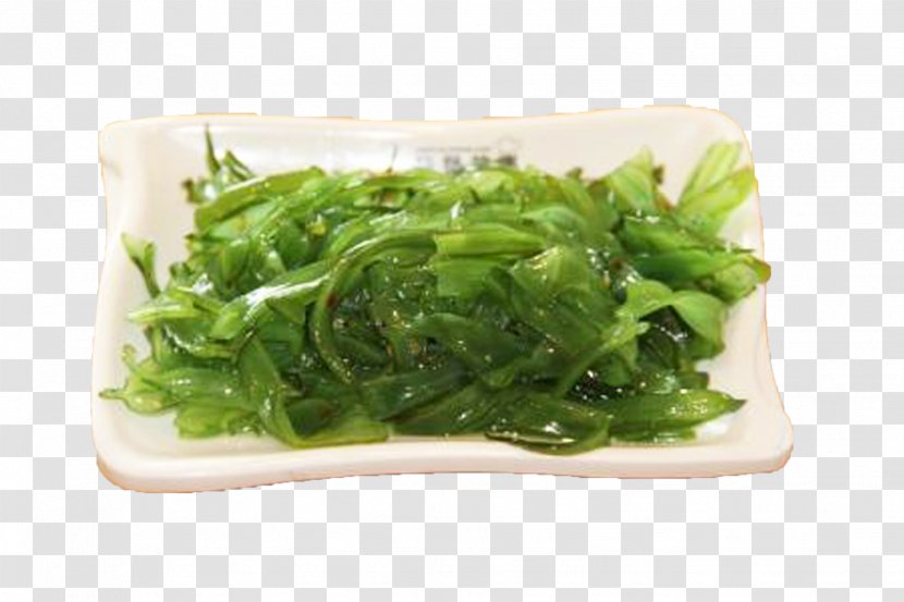 Spirulina Green Lettuce Algae Yellow Transparent PNG