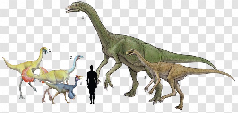 Deinocheirus Pelecanimimus Gallimimus Ornithomimus Alxasaurus - Dinosaur Transparent PNG
