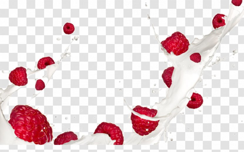 Red Raspberry Cream Milk Wallpaper - Frutti Di Bosco Transparent PNG