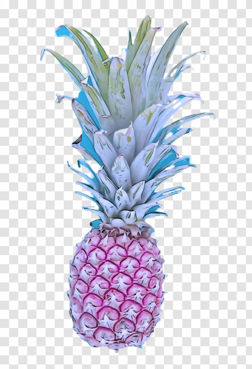 Pineapple - Plant - Poales Food Transparent PNG