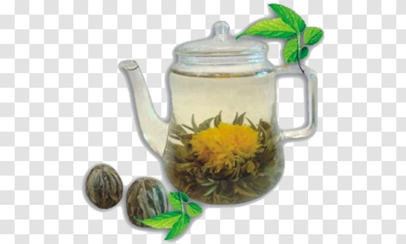 Flowering Tea Green Earl Grey Bubble Transparent PNG