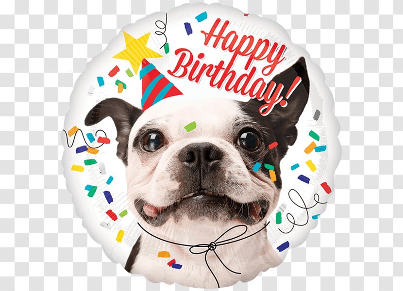 Mylar Balloon Dog Birthday - Paw Transparent PNG