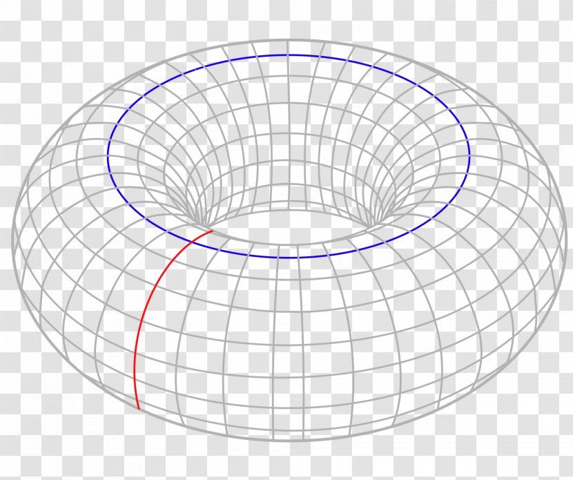 Torus Interconnect Circle Topology Donuts Transparent PNG