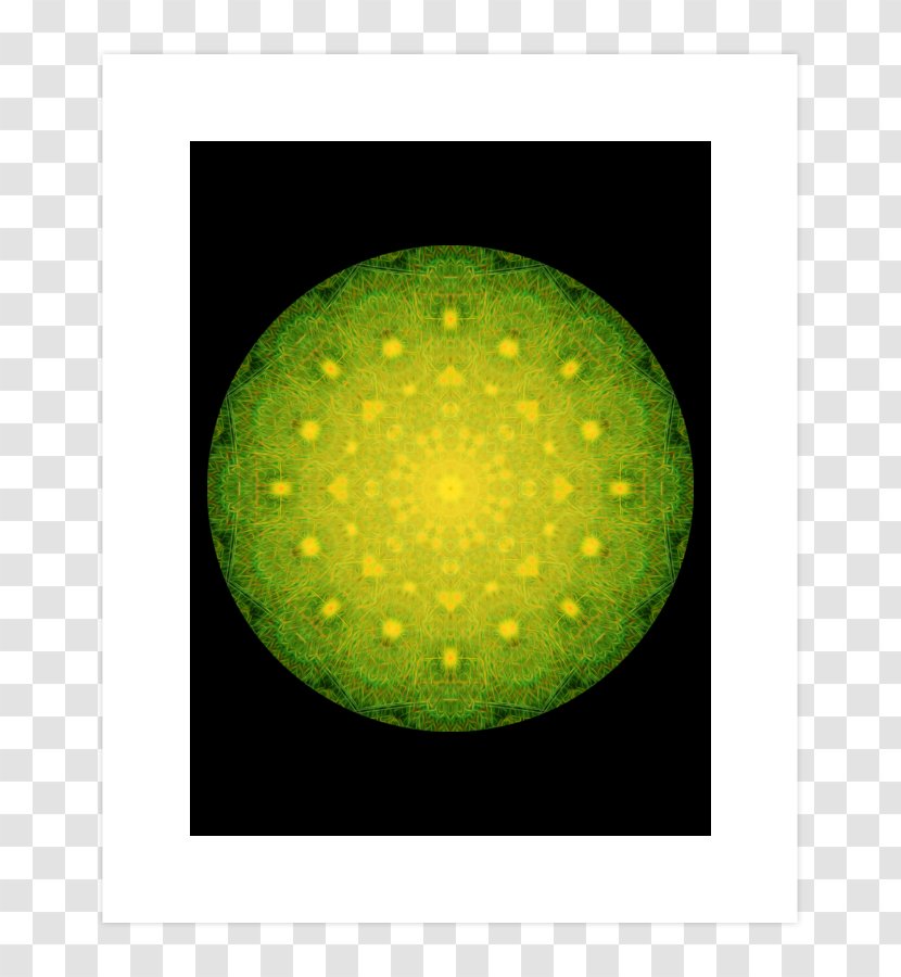 Sphere Organism - Green Transparent PNG