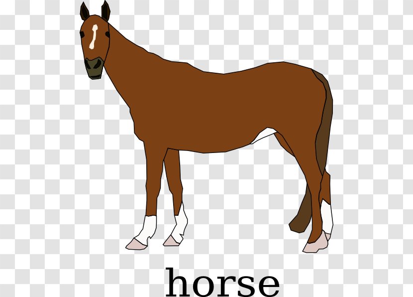 Clydesdale Horse Pony Clip Art - Vertebrate - Cartoon Transparent PNG