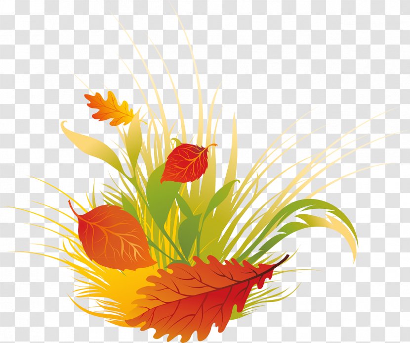 Leaf Autumn Petal Floral Design Desktop Wallpaper - Flower Arranging Transparent PNG