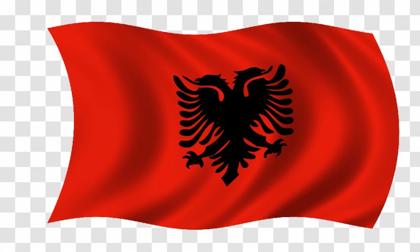 Flag Of Albania Can Stock Photo - Red Transparent PNG