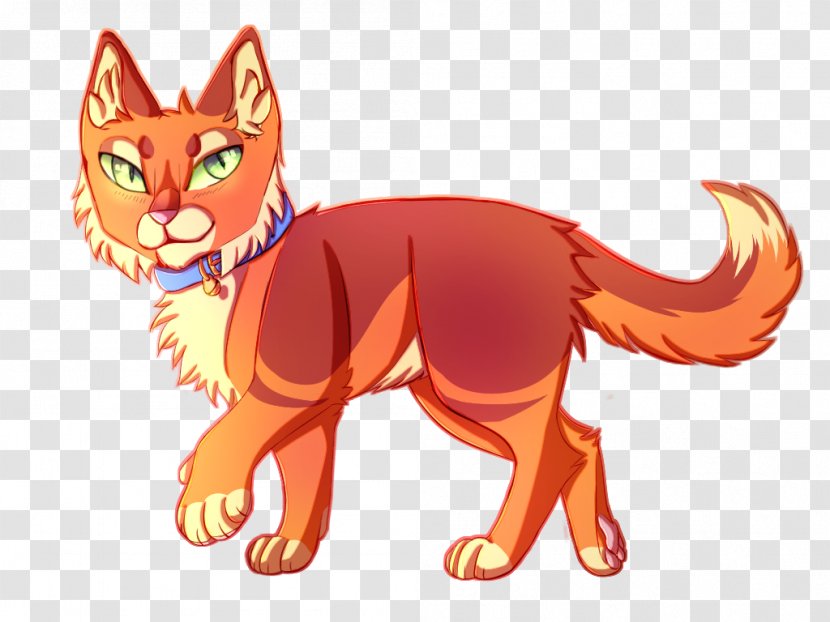 Kitten Whiskers Cat Red Fox Color - Rusty Nail Transparent PNG