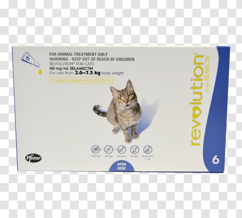Cat Felidae Dog Selamectin Ear Mite - Pet Shop Transparent PNG