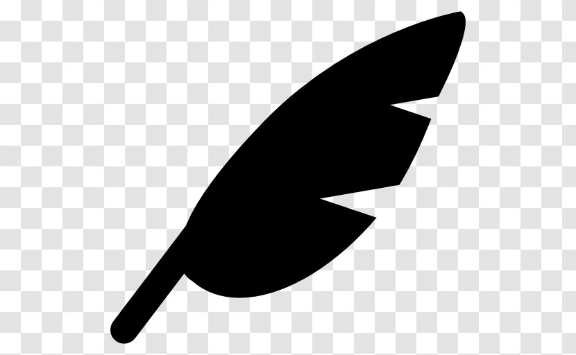 Feather Wing Quill Pens Transparent PNG