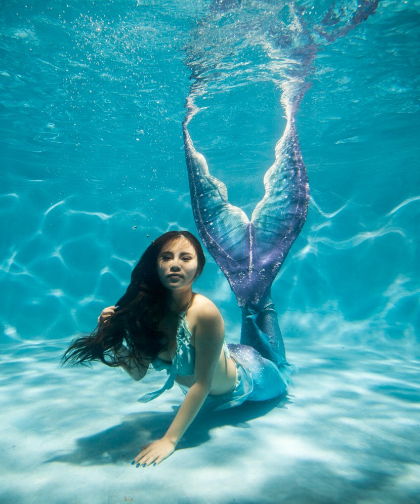 China Ariel Mermaiding Merman - Flower - Mermaid Transparent PNG