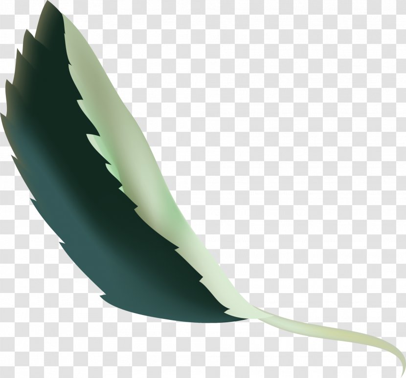 Green Angle Feather - Fresh Leaves Transparent PNG