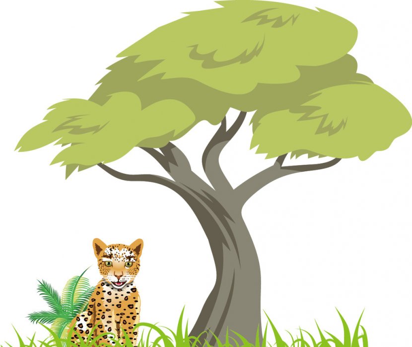 Jungle Tree Clip Art - Tail Transparent PNG