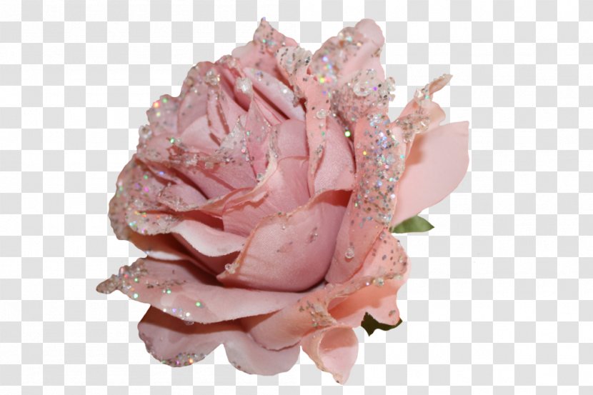 Garden Roses Cut Flowers Pink - Glitter Transparent PNG