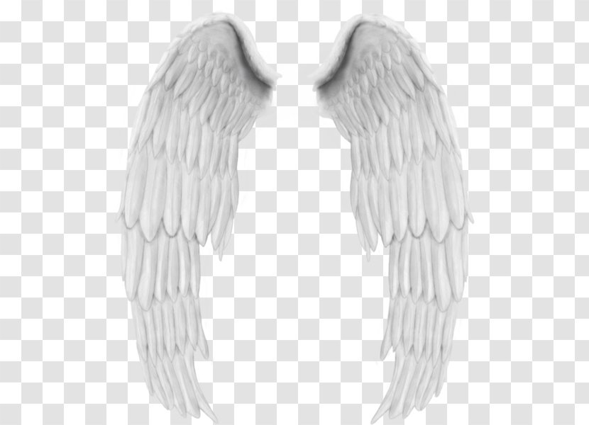 Drawing - Costume - White Wings Transparent PNG