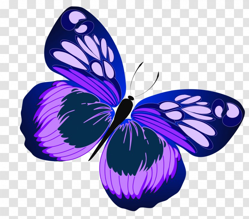 Butterfly Purple Clip Art - Violet - Blue And Clipart Transparent PNG