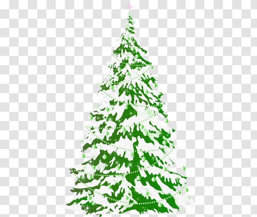 Christmas Tree Snow Clip Art - Plant Transparent PNG