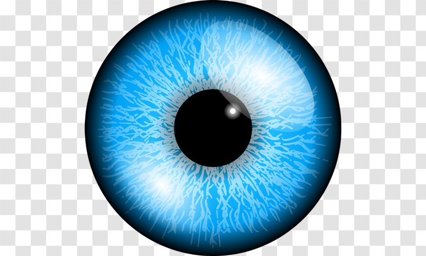 Human Eye Iris Clip Art - Frame - Eyeball Transparent PNG
