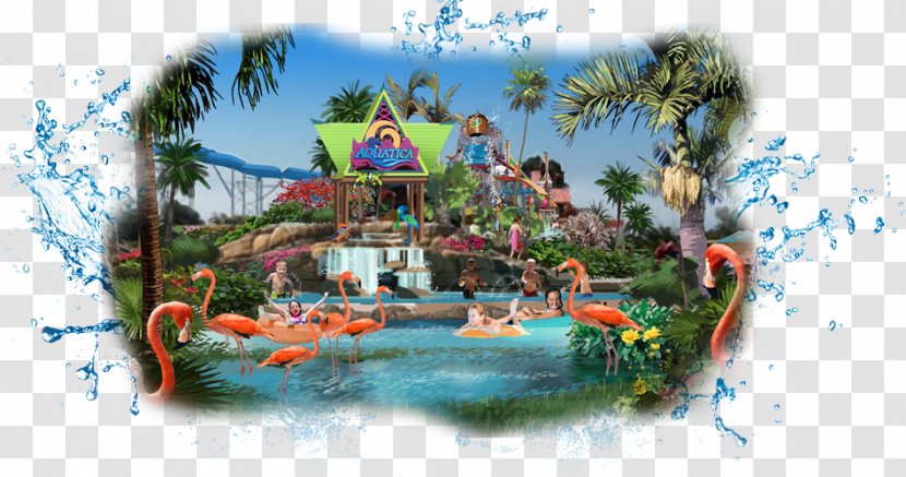 SeaWorld San Diego Water Park Antonio Orlando - Incidents At Seaworld Parks - Changde Transparent PNG